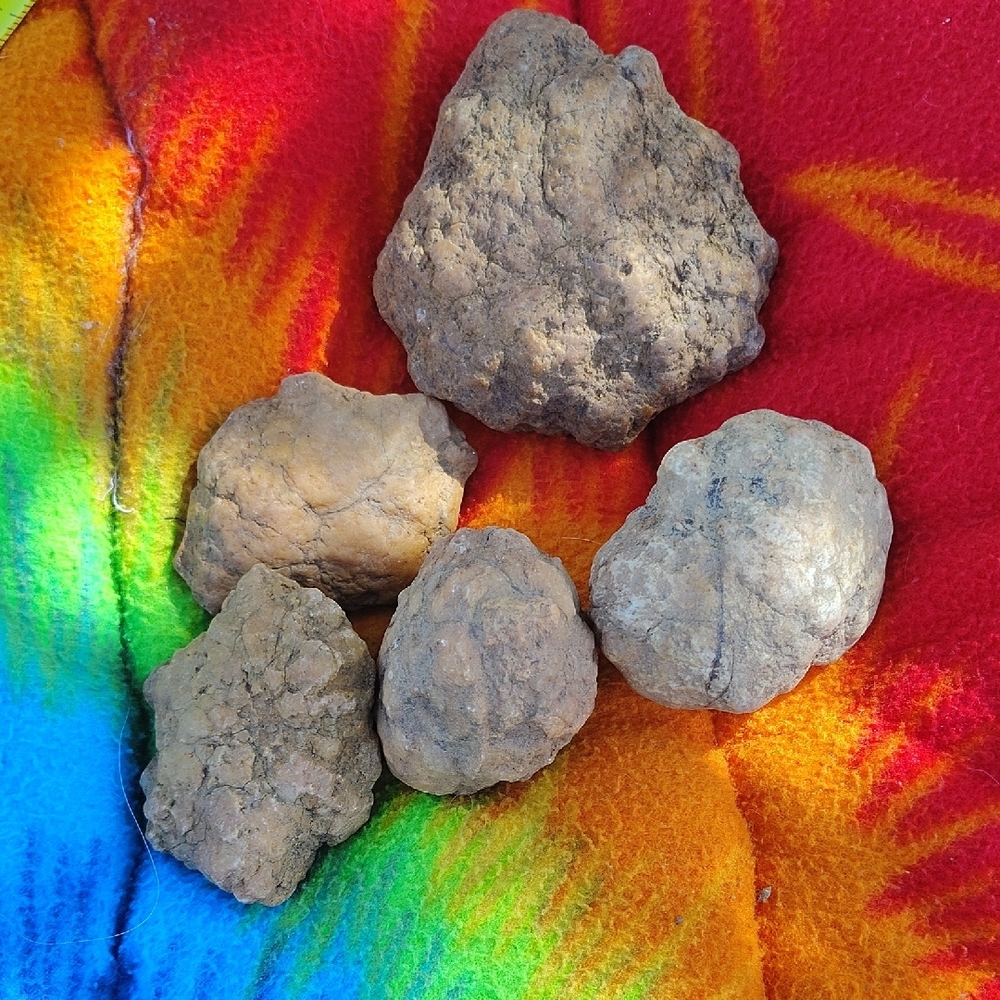 Geodes Natural Brown Rocks Collection - Picture 5 of 5